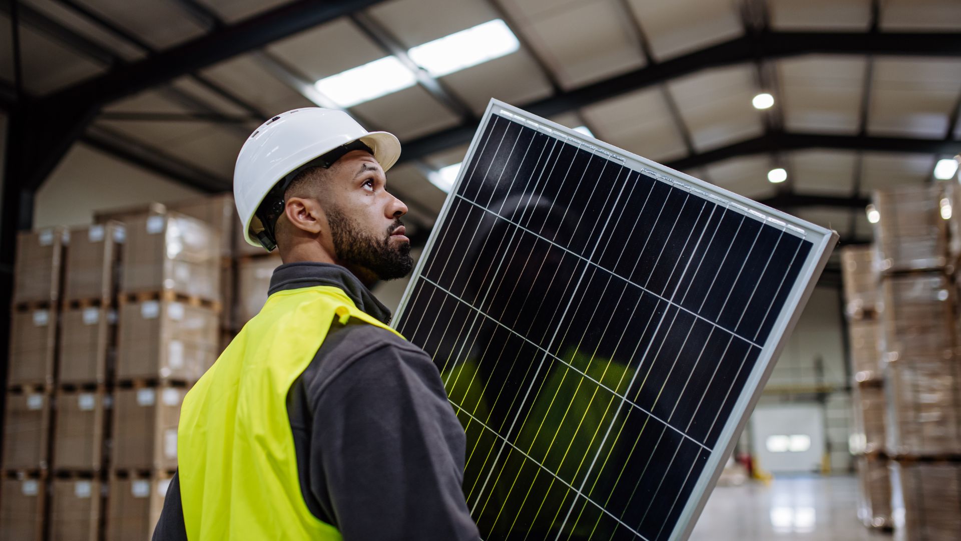 Should You Lease or Buy Solar Panels in 2025?