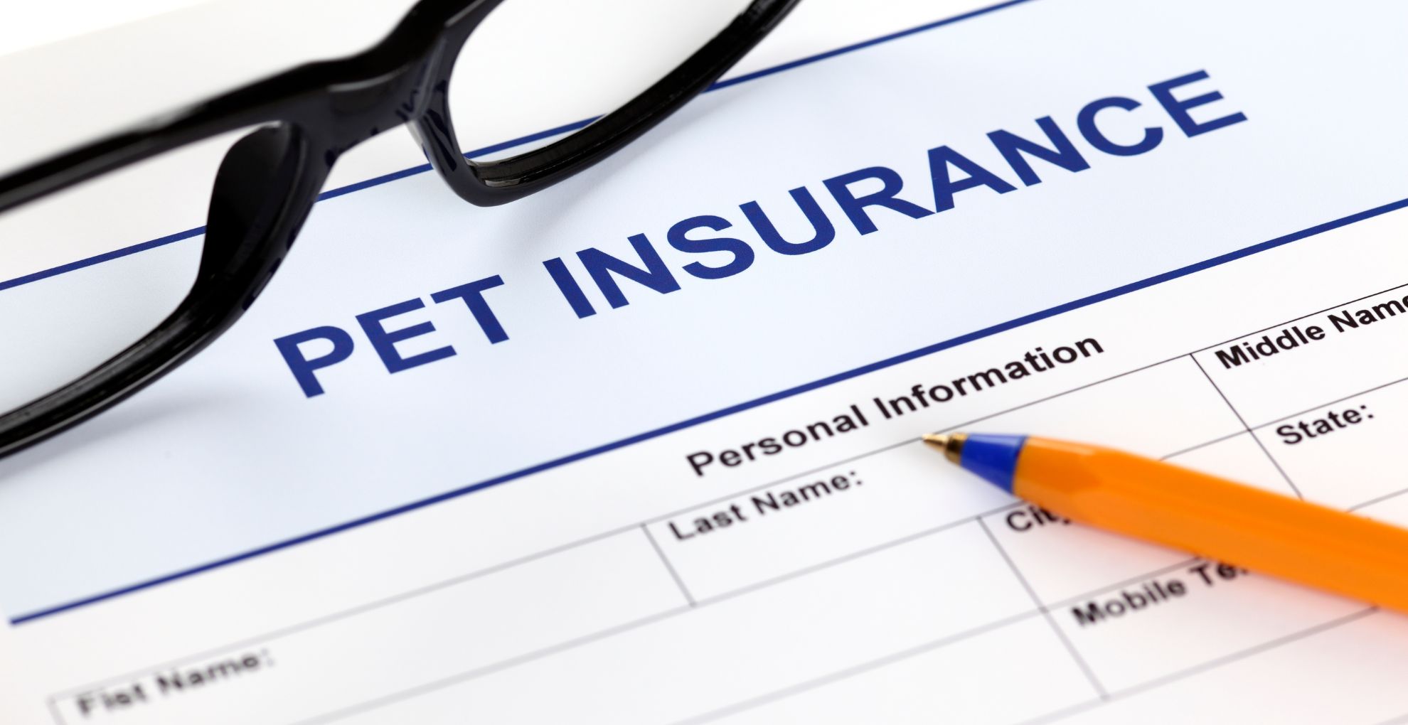 Pet Insurance Trends in 2025: What Pet Owners Must Know