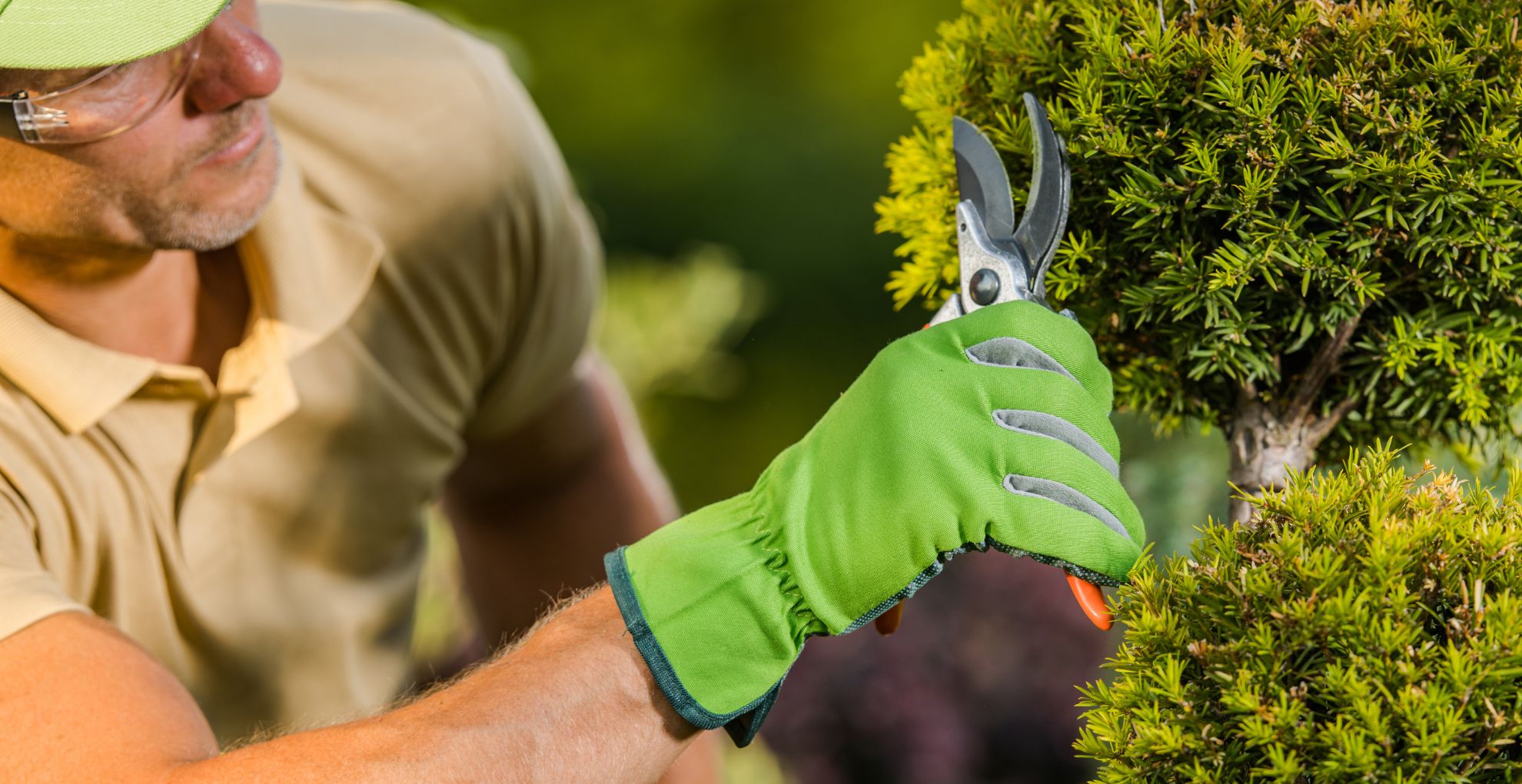 Landscaping Trends That Boost Home Value